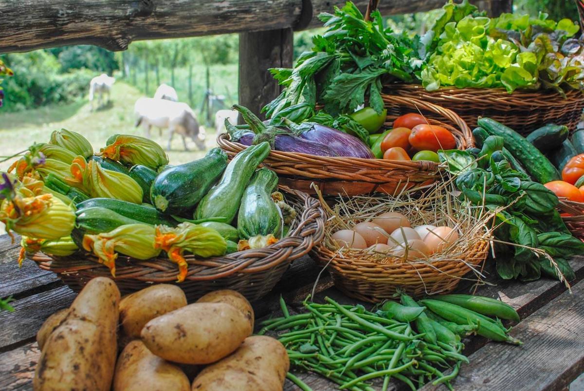 Agriturismo La Ferrera Varco Sabino エクステリア 写真